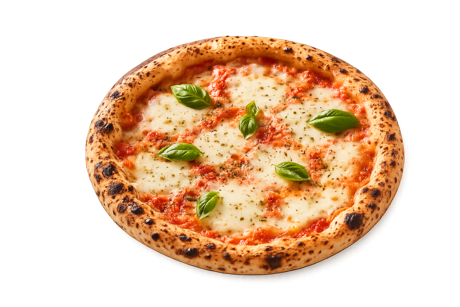Pizza Muzzarella PICACCIA